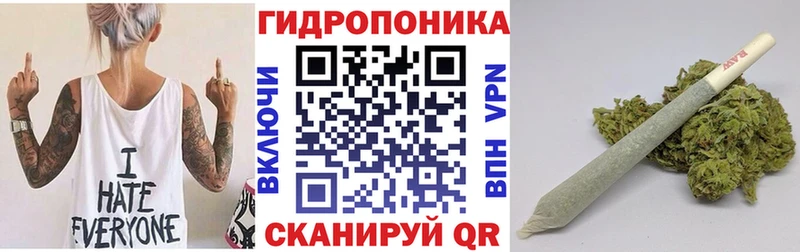 Где купить наркотики Исилькуль Альфа ПВП  Бошки Шишки  Мефедрон  ГАШИШ  COCAIN 