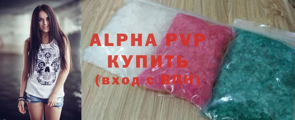 PSILOCYBIN Волосово