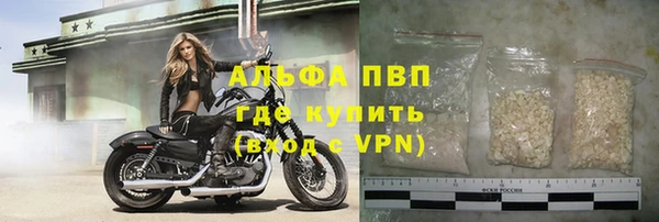 PSILOCYBIN Волосово