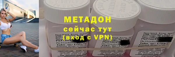 прущие грибы Сясьстрой