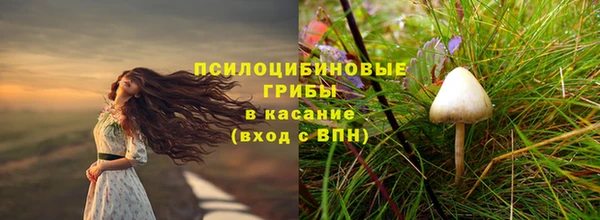 гашик Бугульма