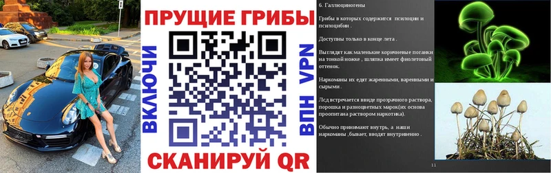 цена наркотик  Исилькуль  Галлюциногенные грибы Cubensis 